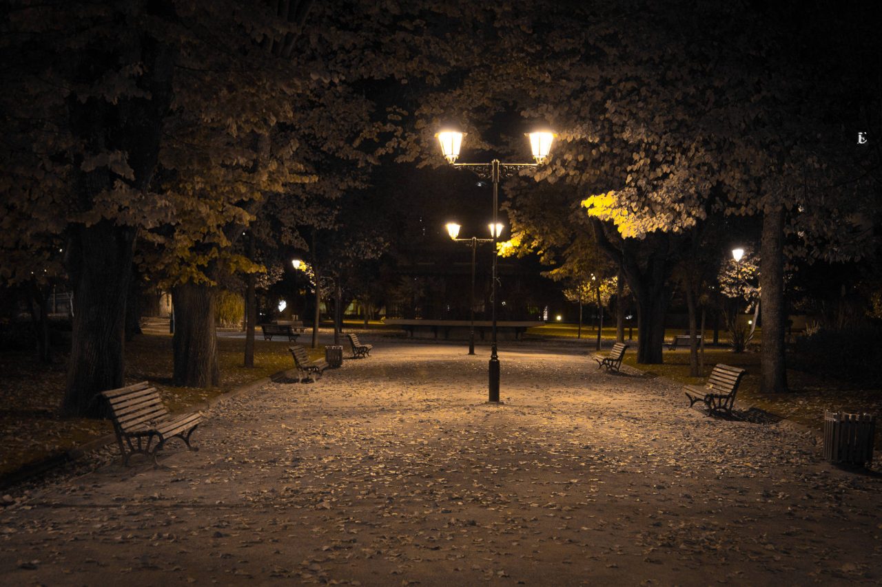 An empty park path at night lit by a row of street lamps